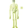 WIDMANN Squelette De Laboratoire Phosphorescent Dans Le Noir - 1,5 M -Spooky Decor World squelette de laboratoire phosphorescent dans le noir 15 m